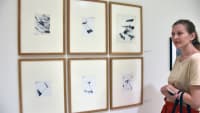 galerie%20Foto%20grafiky%20pampelišek%20Běly%20Kolářové