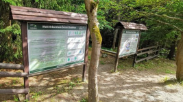 Arboretum