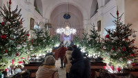 stromkyCrystalPačinek