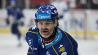 KLDNJagr