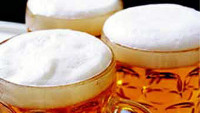 pivo