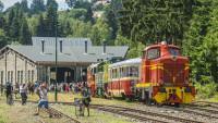 zubackaharrachov2