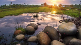 biotope
