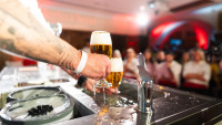 stella3 VOJ5527