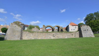 Lipý