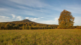 Sokol