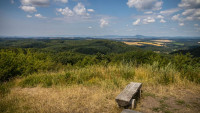 Nedvězí