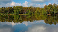 bažantník
