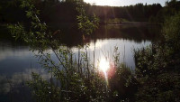bažantníkTma