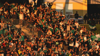 fans