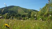 harrachov
