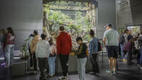 ZOO krokodylovec1