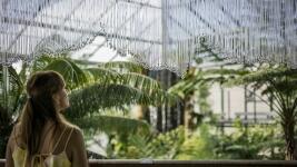 TvLKbotankasklo