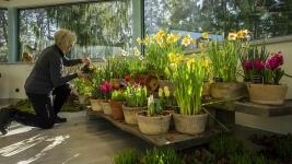 BZvystavabotanka 1irma