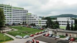 CLnemocnicelipa1irma