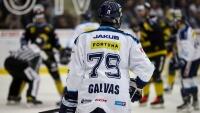 gavlasNHL