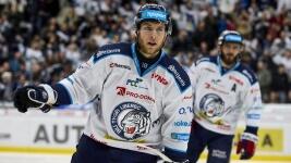 rychlik2