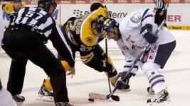 bruins