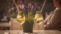 zahradnírestaurace