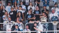 fans
