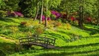 park2