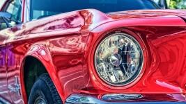 mustang