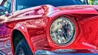 mustang