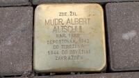 Stolperstein 24